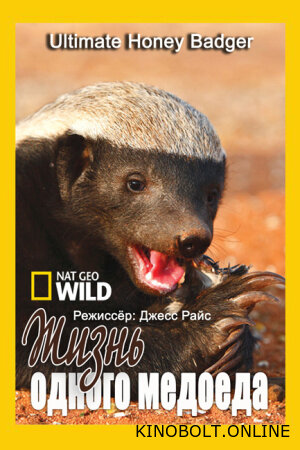 Nat Geo Wild: Життя одного медоїда