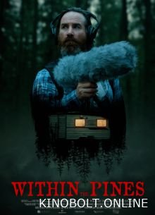 Серед сосен (2025)